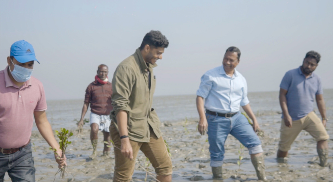 THE CLIMATE QUESTIONS: MANGROVES